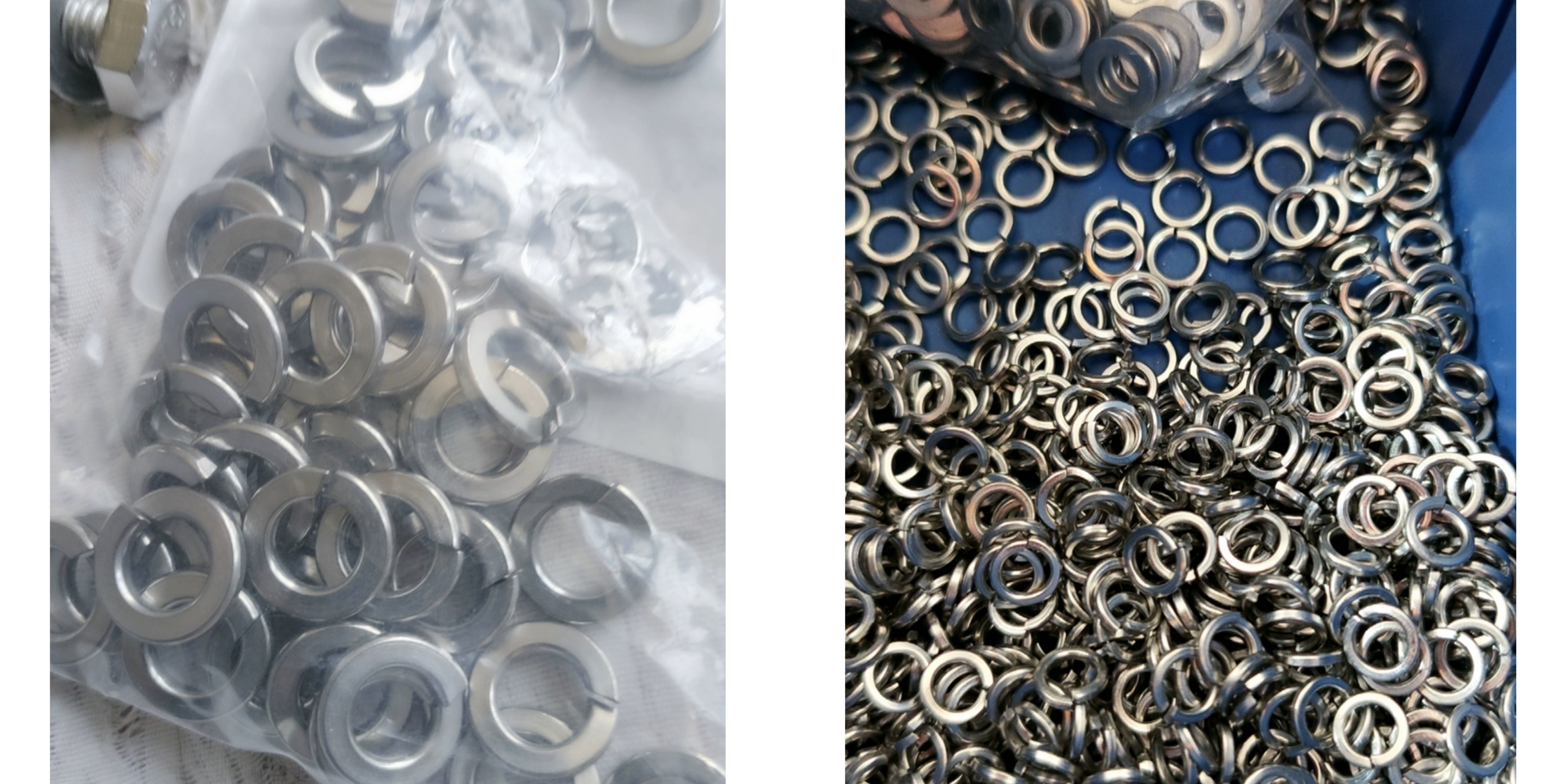 Single Coil Spring Washers .jpg